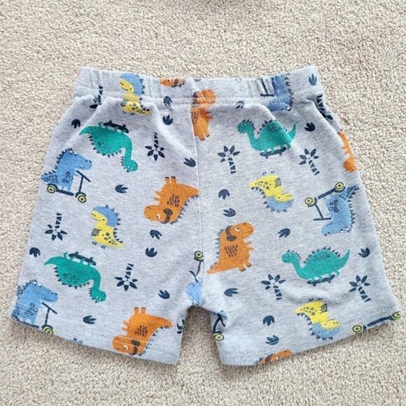 Lot of Boys Short Sleeve Tops and Shorts Size 24 Months - Picture 16 of 16